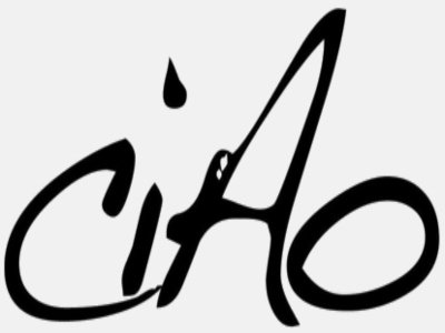 Things To Do Chincoteague Island Arts Organization 